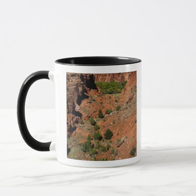 Nordamerika, USA, Arizona, Navajo Indian Mugg (Vänster)