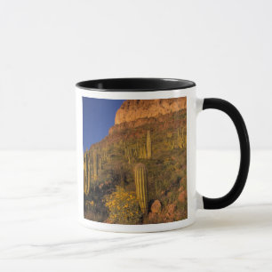 Nordamerika, USA, Arizona, Organ Pipe Cactus 2 Mugg