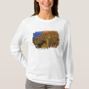 Nordamerika, USA, Arizona, Organ Pipe Cactus 2 Tee