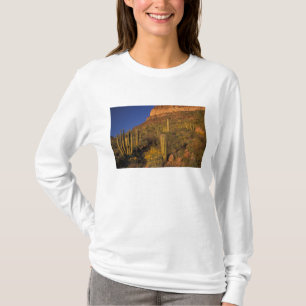 Nordamerika, USA, Arizona, Organ Pipe Cactus 2 Tee Shirt