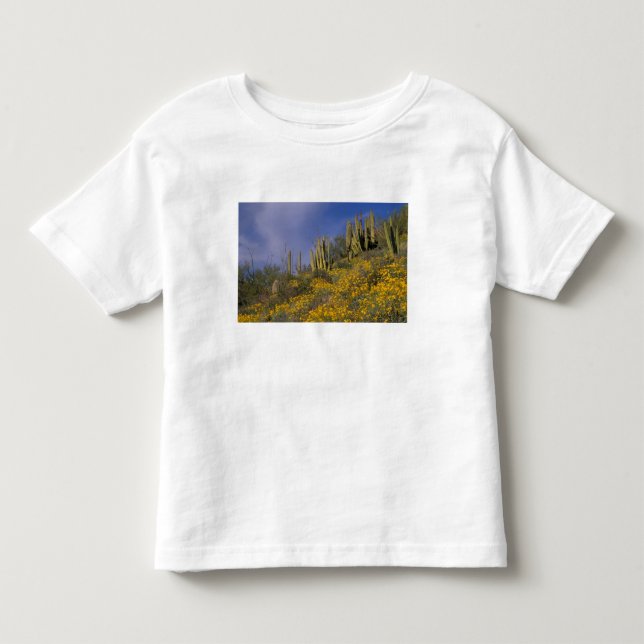 Nordamerika, USA, Arizona, Organ Pipe Cactus T-shirt (Framsida)