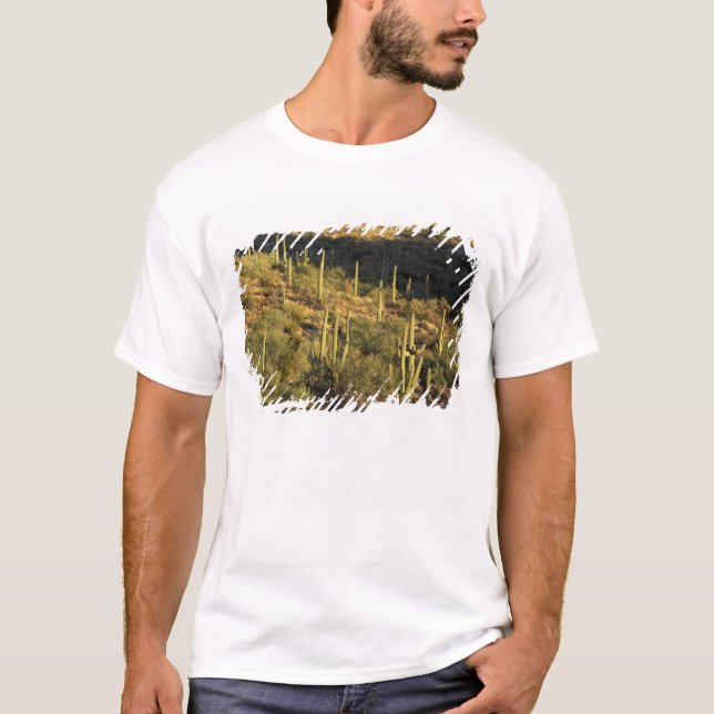 Nordamerika, USA, Arizona, Sonoran Desert T-shirt (Framsida)