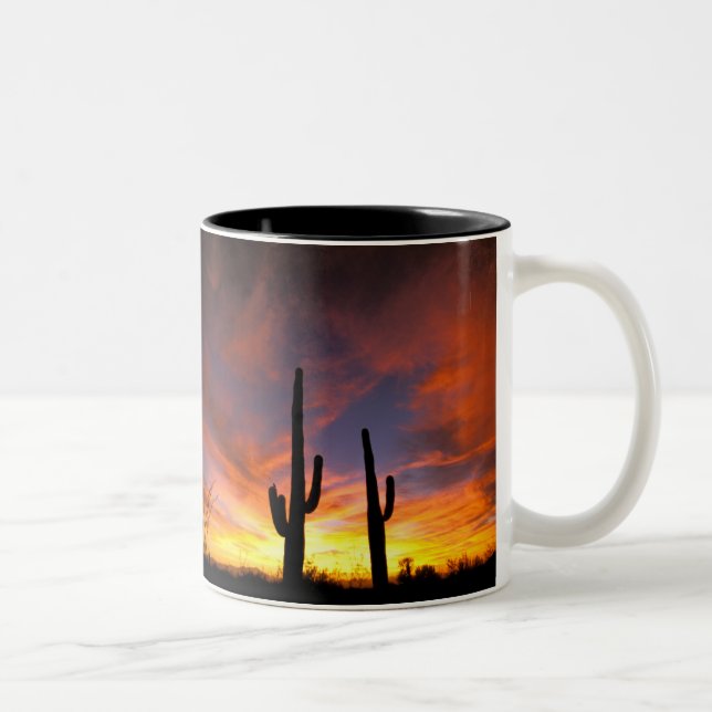 Nordamerika, USA, Arizona, Sonoran Desert. Två-Tonad Mugg (Höger)
