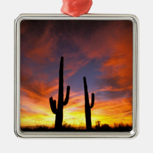 Nordamerika, USA, Arizona, Sonoraöknen. Julgransprydnad Metall