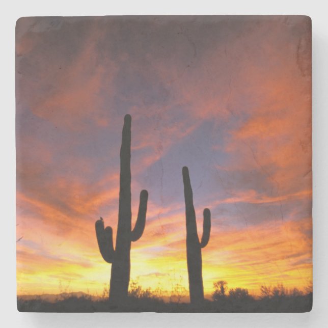 Nordamerika, USA, Arizona, Sonoraöknen. Underlägg Sten (Framsidan)