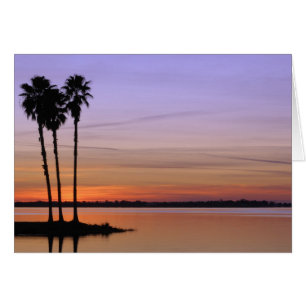 Nordamerika, USA, Florida, Mt. Dora, en trio Hälsningskort
