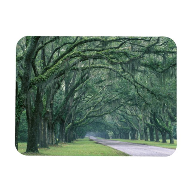 Nordamerika, USA, Georgia, Savannah, Magnet (Horisontell)