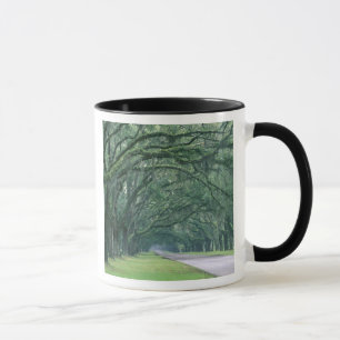 Nordamerika, USA, Georgia, Savannah, Mugg