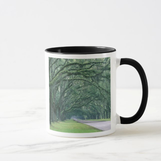 Nordamerika, USA, Georgia, Savannah, Mugg (Höger)