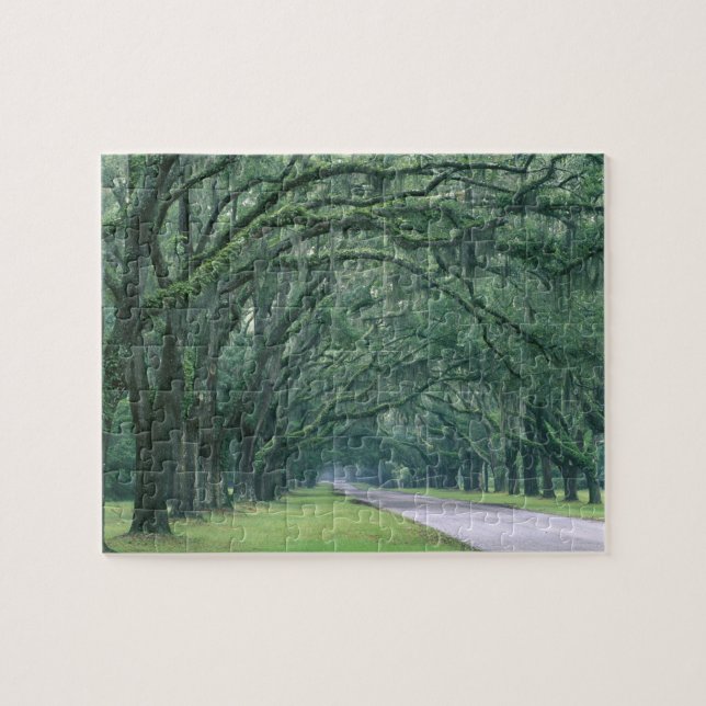 Nordamerika, USA, Georgia, Savannah, Pussel (Horisontell)