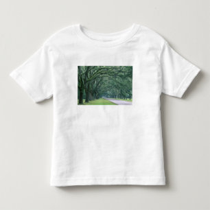 Nordamerika, USA, Georgia, Savannah, Tee