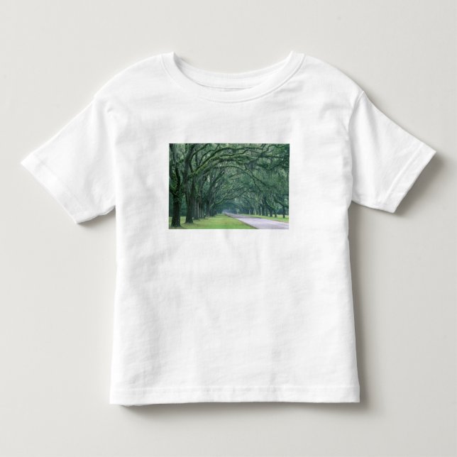 Nordamerika, USA, Georgia, Savannah, Tee (Framsida)