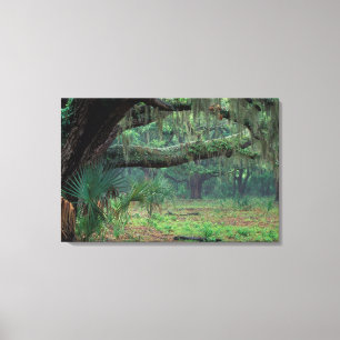 Nordamerika, USA, Georgien, Cumberland 2 Canvastryck