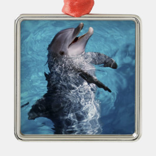 Nordamerika, USA, Hawaii. Delfin Julgransprydnad Metall
