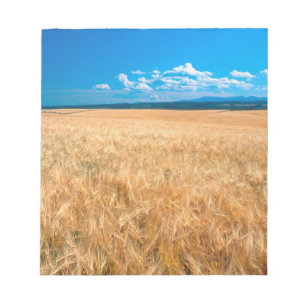 Nordamerika, USA, Idaho. Kornfält i Anteckningsblock