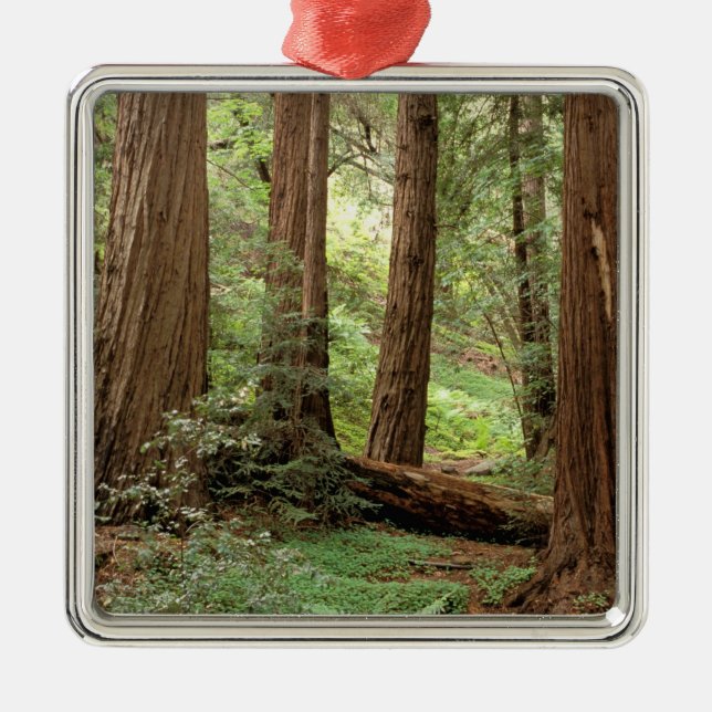 Nordamerika, USA, Kalifornien, Big Sur Julgransprydnad Metall (Framsidan)