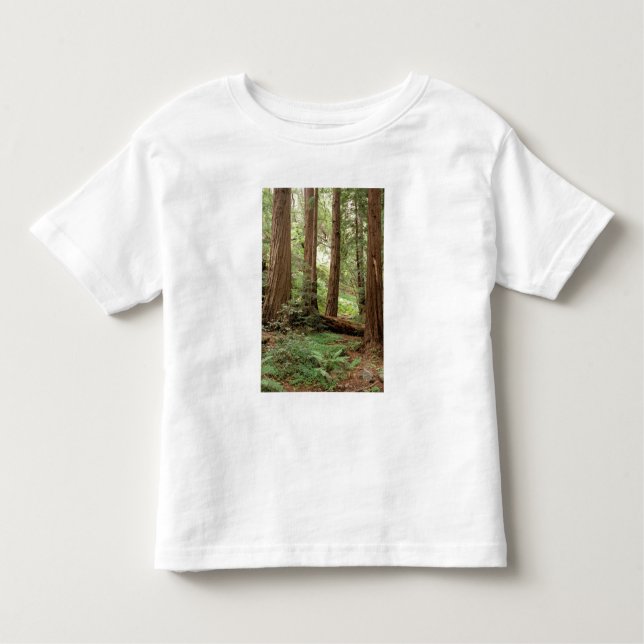 Nordamerika, USA, Kalifornien, Big Sur T Shirt (Framsida)