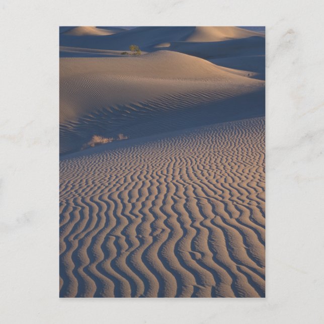 Nordamerika, USA, Kalifornien, Dödsdalen Vykort (Framsida)