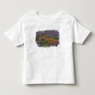 Nordamerika, USA, Kalifornien, Los Angeles 2 Tee