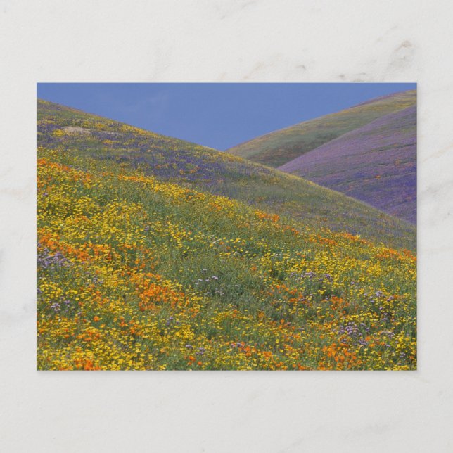 Nordamerika, USA, Kalifornien, Los Angeles Vykort (Framsida)