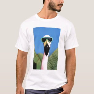 Nordamerika, USA, Kalifornien, San Diego. Hav Tee Shirt