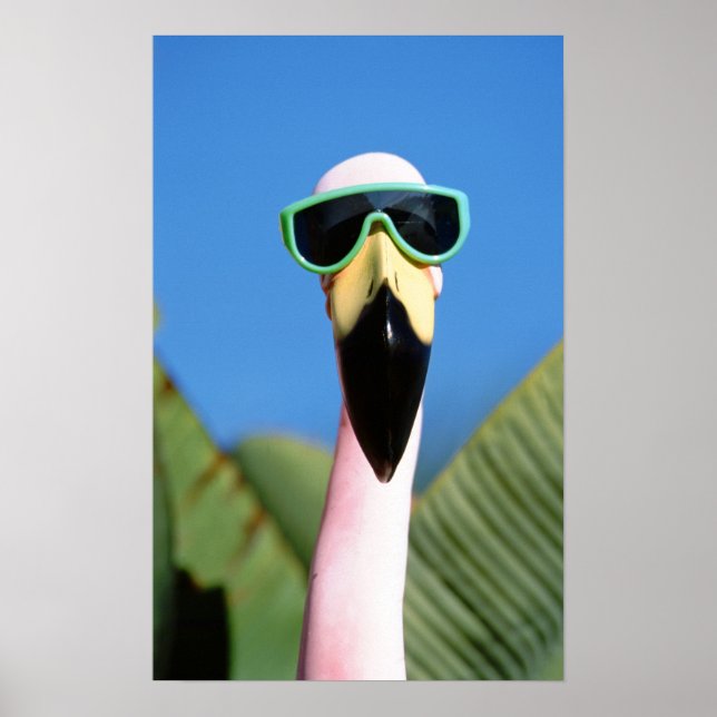 Nordamerika, USA, Kalifornien, San Diego. Sjöfart Poster (Framsidan)