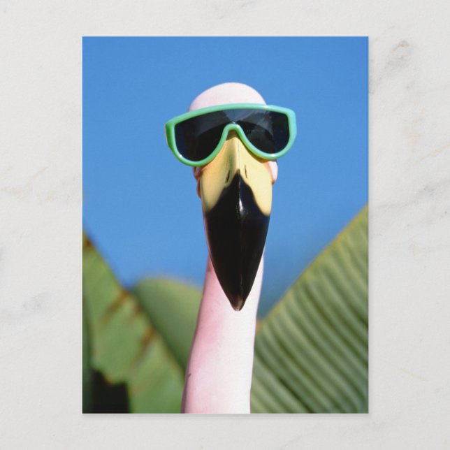 Nordamerika, USA, Kalifornien, San Diego. Sjöfart Vykort (Framsida)