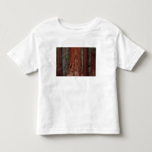 Nordamerika, USA, Kalifornien, Yosemite NP, 2 T-shirt
