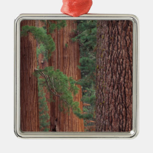 Nordamerika, USA, Kalifornien, Yosemite NP, Julgransprydnad Metall