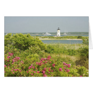 Nordamerika, USA, Massachusetts, Marthas Hälsningskort