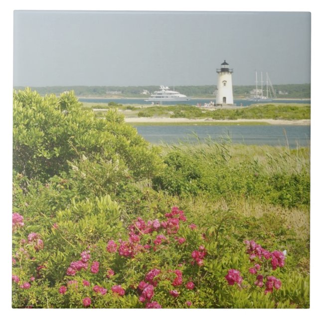 Nordamerika, USA, Massachusetts, Martha's Kakelplatta (Framsidan)