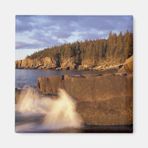 Nordamerika, USA, ME, Den klippiga Maine-kusten. Magnet