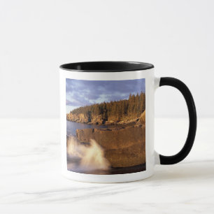 Nordamerika, USA, ME, Den klippiga Maine-kusten. Mugg
