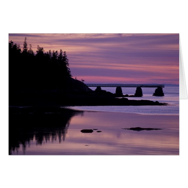 Nordamerika, USA, ME, Isle Au Haut. Anka Hälsningskort (Framsidan Horizontal)