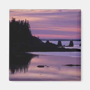 Nordamerika, USA, ME, Isle Au Haut. Anka Magnet