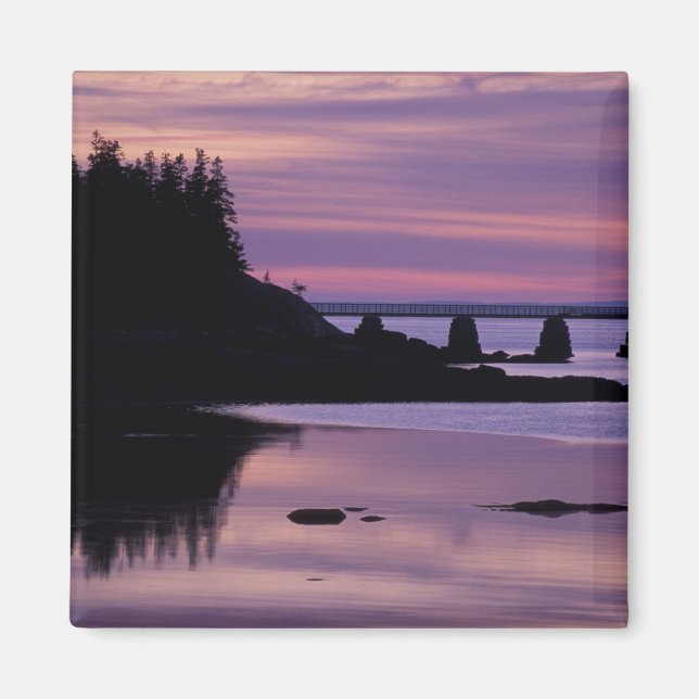 Nordamerika, USA, ME, Isle Au Haut. Anka Magnet (Framsidan)