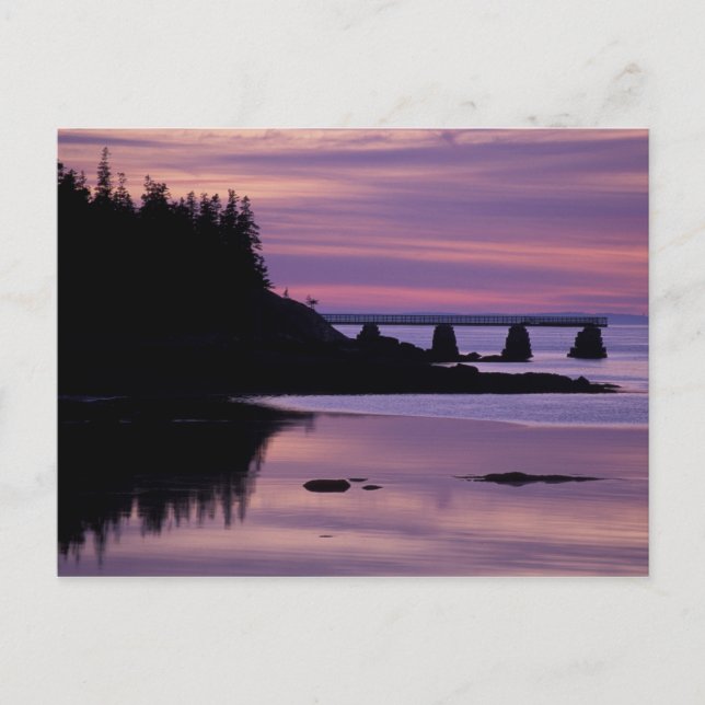 Nordamerika, USA, ME, Isle Au Haut. Anka Vykort (Framsida)