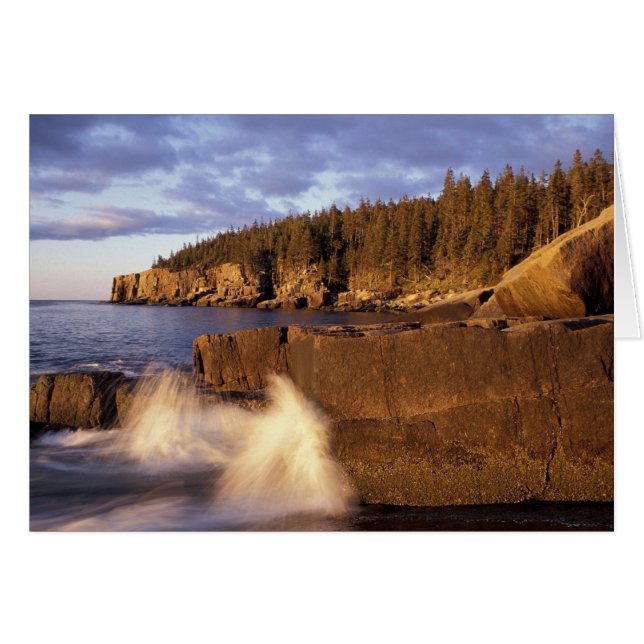 Nordamerika, USA, MIG, kusten.. Hälsningskort (Framsidan Horizontal)
