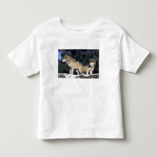 Nordamerika, USA, Minnesota. Varg Canis 2 T Shirt