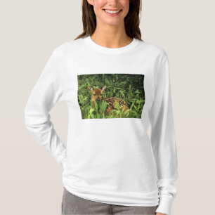 Nordamerika, USA, Minnesota. Vitstjärtad T Shirt
