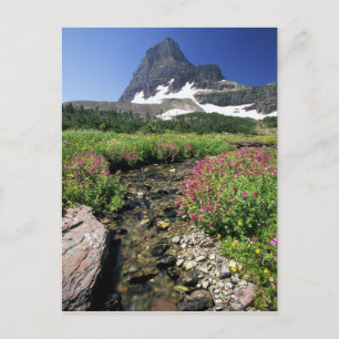 Nordamerika, USA, Montana, Glacier National 3 Vykort