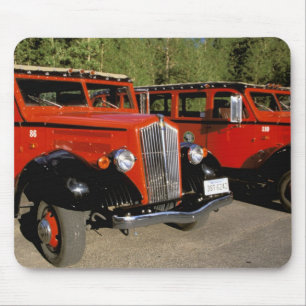 Nordamerika, USA, Montana. Klassisk 1934 Ford Musmatta