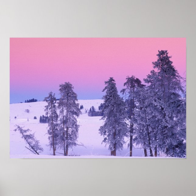 Nordamerika, USA, Montana, Yellowstone Poster (Framsidan)