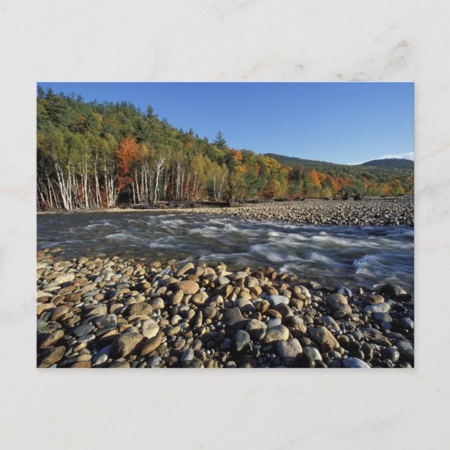 Nordamerika, USA, NH, A cobble-stranden på Vykort (Framsida)