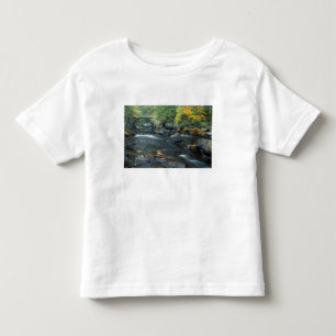 Nordamerika, USA, NH, Bron vid Packers T Shirt