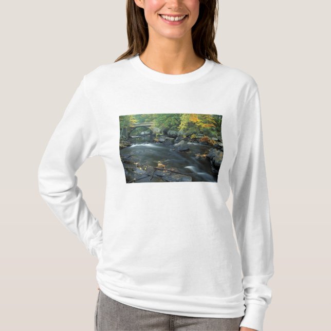Nordamerika, USA, NH, Bron vid Packers Tee (Framsida)