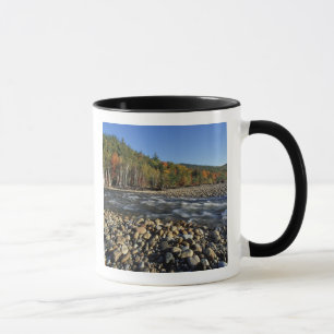 Nordamerika, USA, NH, En kullerstenstrand på Mugg