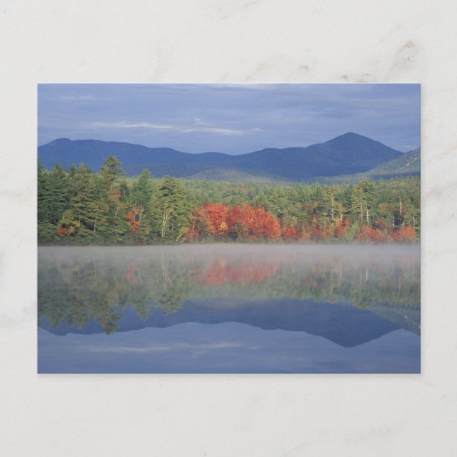 Nordamerika, USA, NH, Fallreflexioner i Vykort (Framsida)