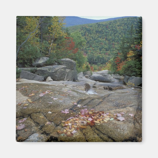 Nordamerika, USA, NH, Höstfärger i New Magnet (Framsidan)
