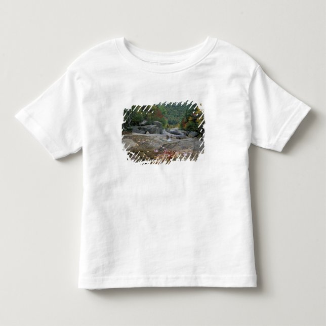 Nordamerika, USA, NH, Höstfärger i New Tee Shirt (Framsida)